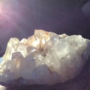 Meet your Posher, Angel